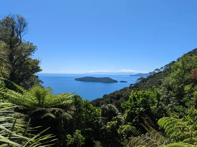 Blick auf eine Insel im Meer von einem Aussichtspunkt mit umgebender Vegetation.
