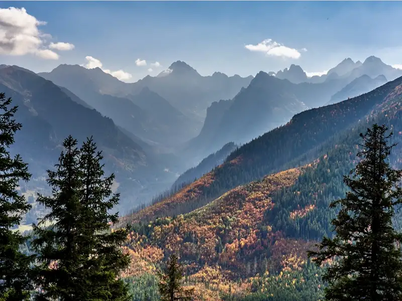 Herbstlandschaft in den Bergen mit bunten Bäumen und majestätischen Gipfeln.