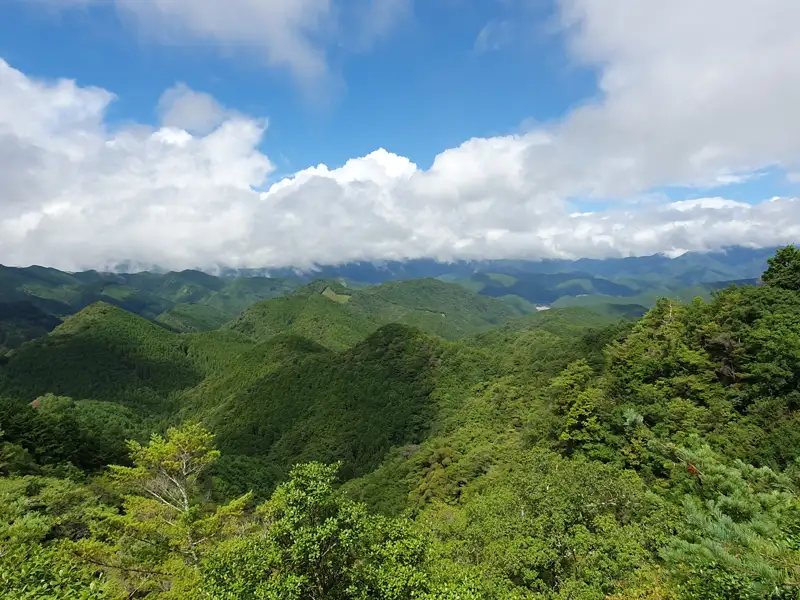 Panoramablick auf die bewaldeten Hügel und Berge.