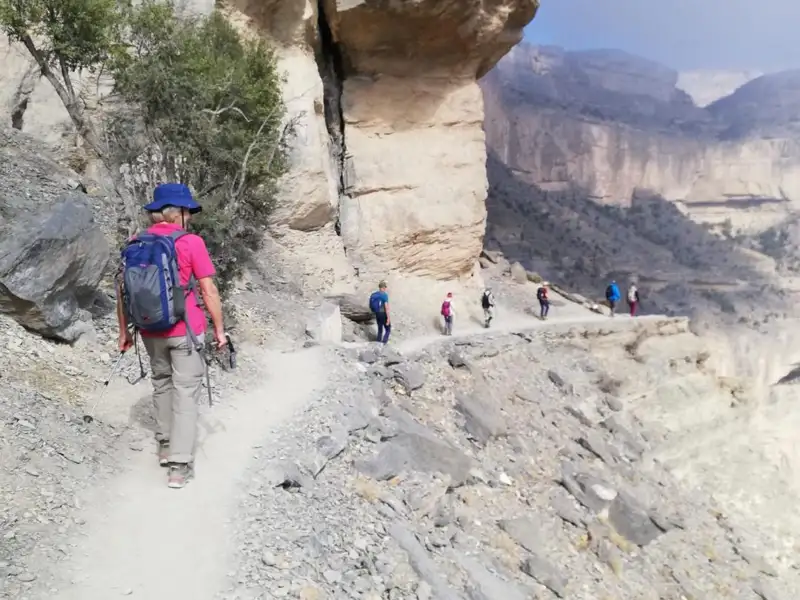 Wanderer mit Rucksäcken und Wanderstöcken auf einem Bergpfad.