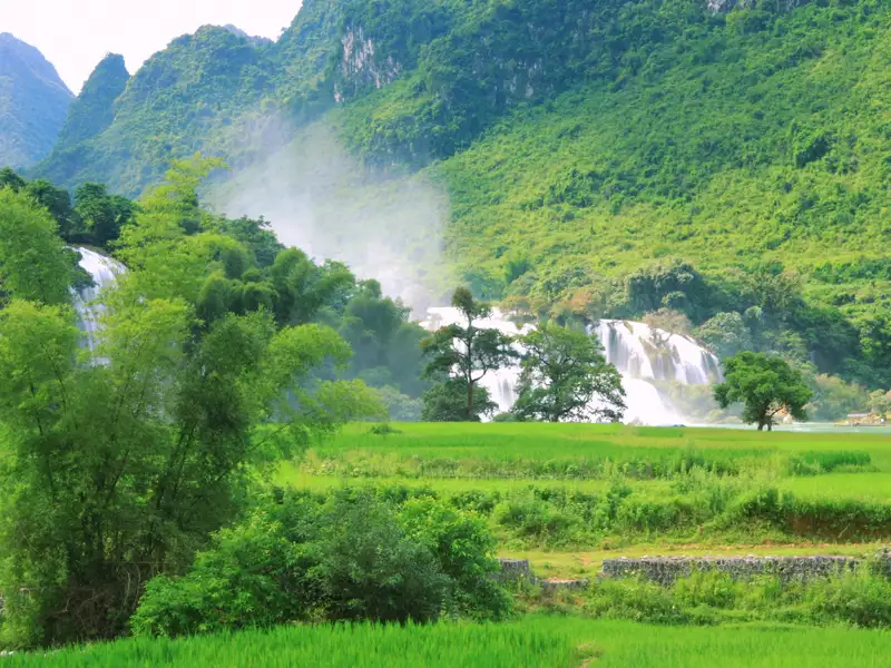 Szenischer Wasserfall umgeben von üppiger Vegetation und Reisfeldern.