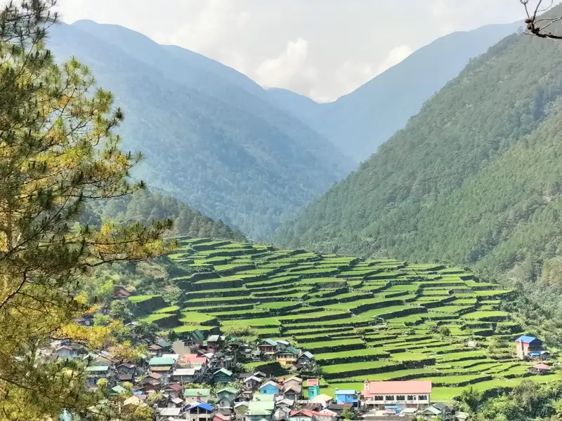 Grüne Reisterrassen erstrecken sich an einem Berghang und führen hinunter zu einem Dorf mit bunten Dächern.