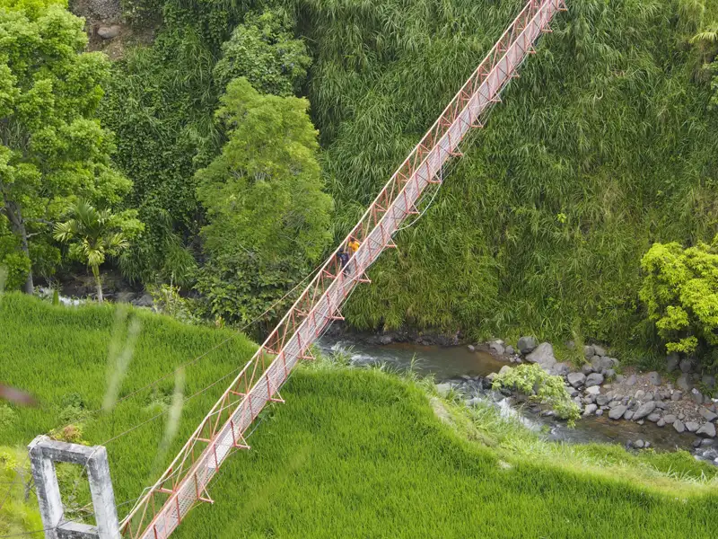Hängebrücke über einen Fluss mit Reisfeldern im Vordergrund.
