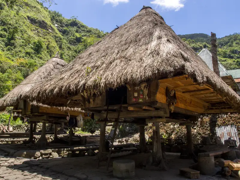 Traditionelle Stelzenhäuser mit Strohdächern, gebaut auf Holzpfählen.