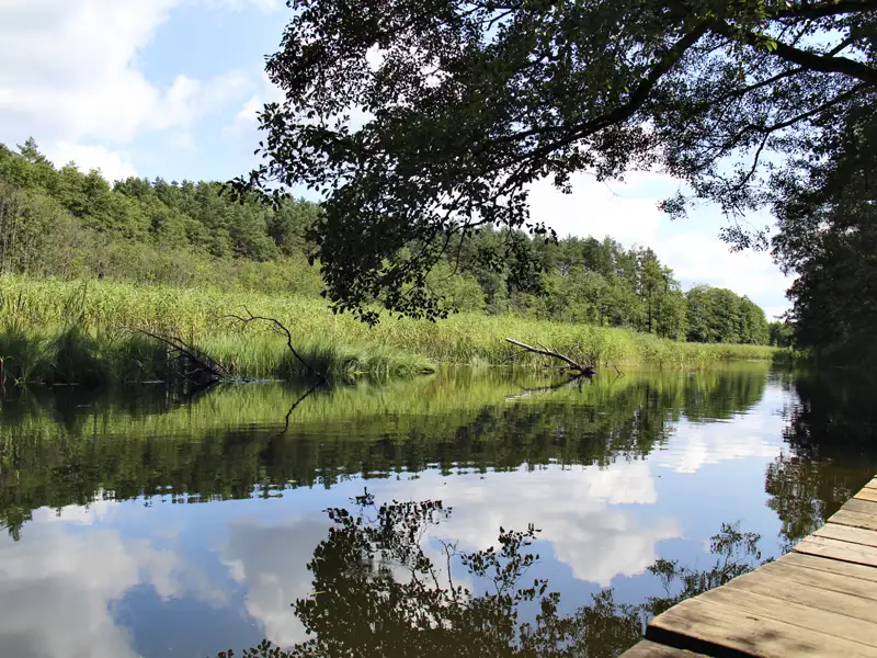 Ruhiger Fluss mit Spiegelungen