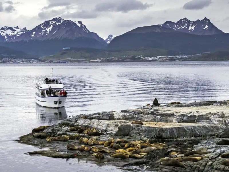 Ausflugsboot mit Touristen nähert sich einer felsigen Insel, auf der sich eine Gruppe von Seelöwen ausruht. Im Hintergrund ist die Berglandschaft von Ushuaia zu sehen.