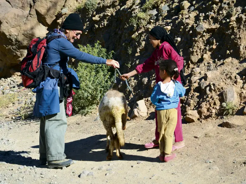 Reisender trifft Kinder mit Schaf