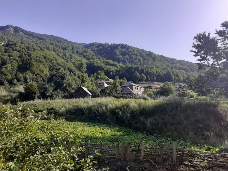 Bergdorf mit Häusern und bewaldeten Hängen.