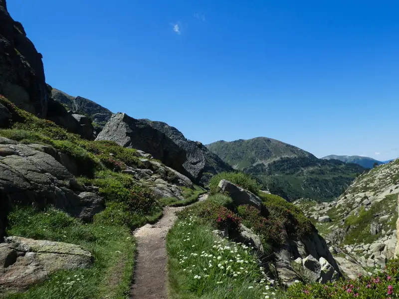 Wanderweg in den Bergen mit Felsen und Vegetation.