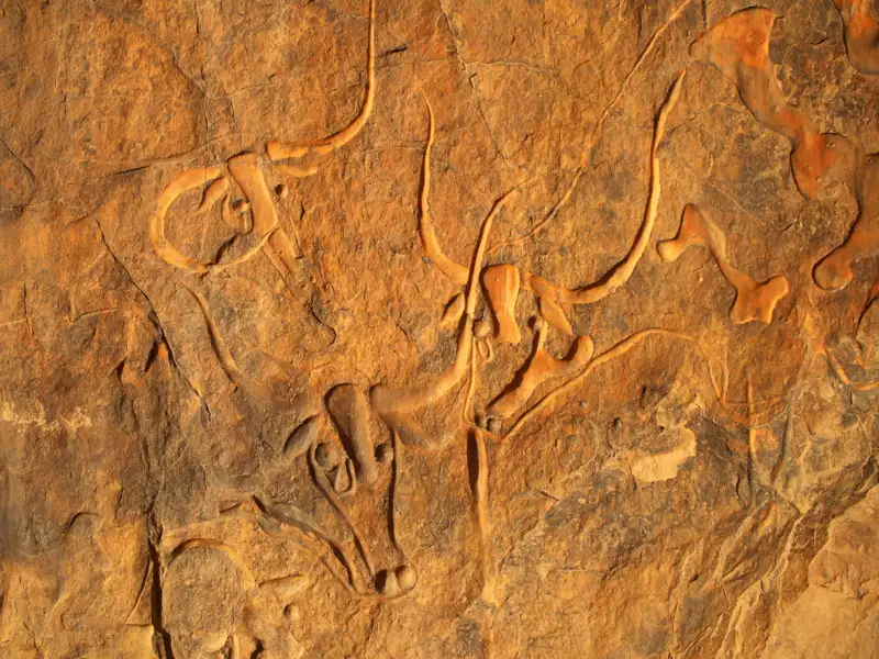 Historische Felszeichnungen von Rindern.
