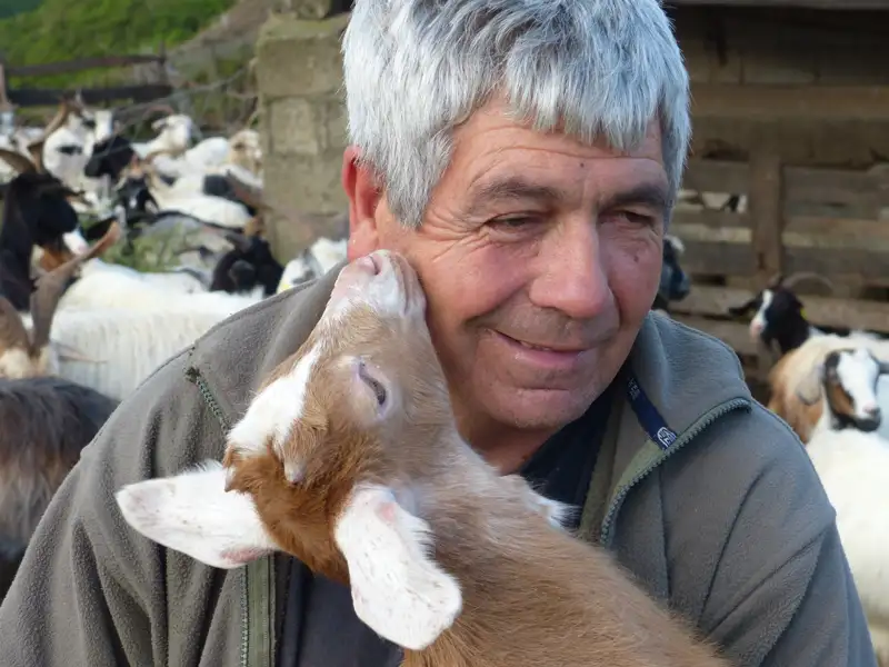 Ziegenhirt mit junger Ziege und Herde im Hintergrund.