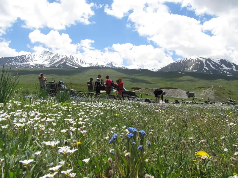 Wanderer machen Rast in einer blühenden Wiese vor schneebedeckten Bergen.