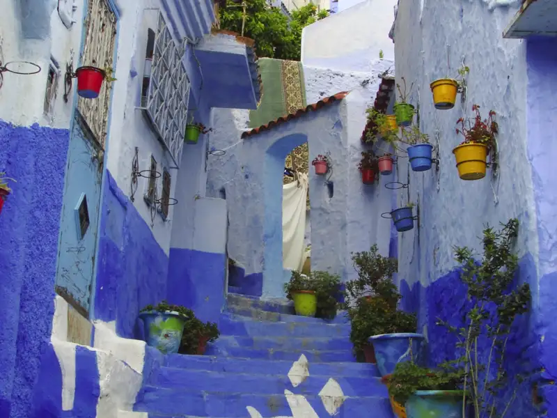Eine Treppe führt eine enge Gasse in Chefchaouen hinauf, deren Wände in verschiedenen Blautönen gestrichen sind. Bunte Blumentöpfe hängen an den Wänden und stehen auf den Stufen.