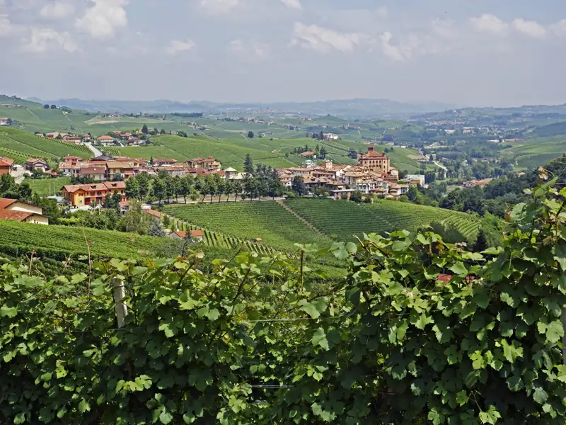 Weinberge und Dorf im Piemont.