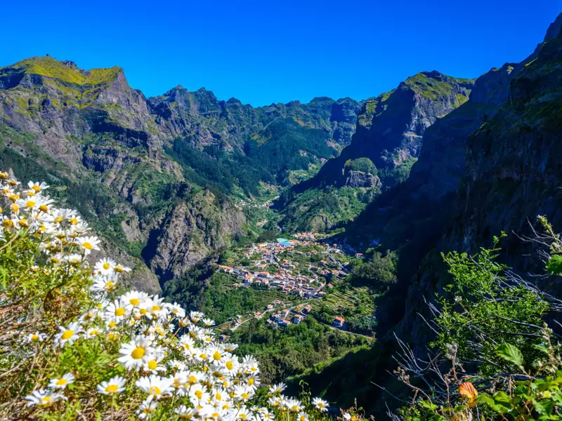 Talblick auf Madeira mit Bergen und Wildblumen.