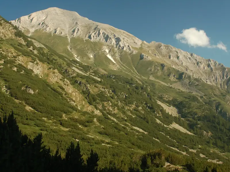 Ansicht eines bewaldeten Berghangs, der zu einem felsigen Gipfel aufsteigt.