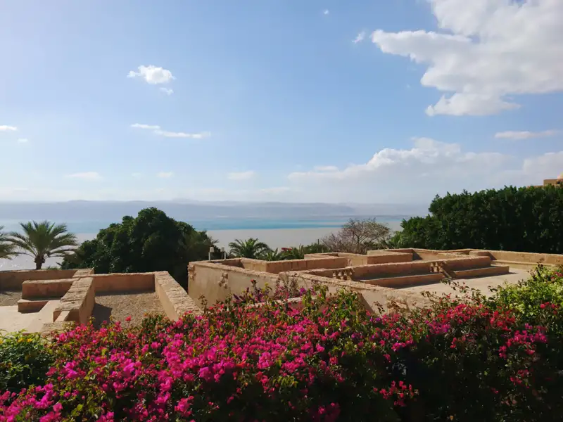 Blick auf das Tote Meer von einer historischen Stätte mit Bougainvillea im Vordergrund.