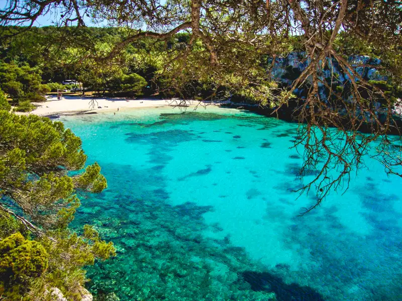 Türkisfarbenes Wasser und weißer Sandstrand, umgeben von Pinien.