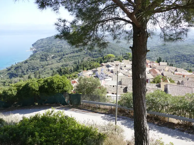 Blick auf ein Dorf an der Küste von einem Aussichtspunkt mit einer Pinie im Vordergrund.