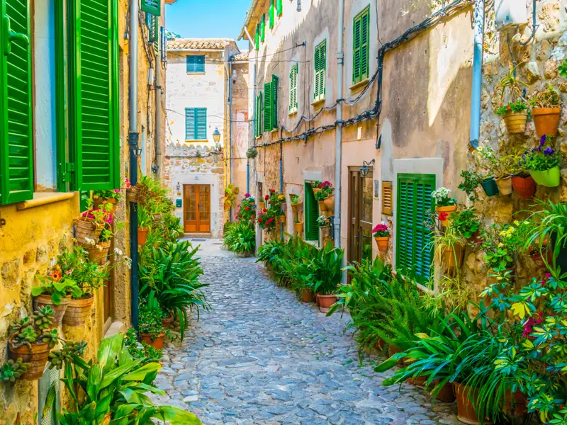 Traditionelle Gasse mit Kopfsteinpflaster und üppigen Pflanzen.