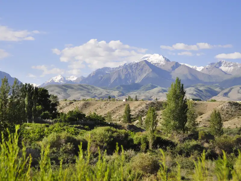 Schneebedeckte Berglandschaft