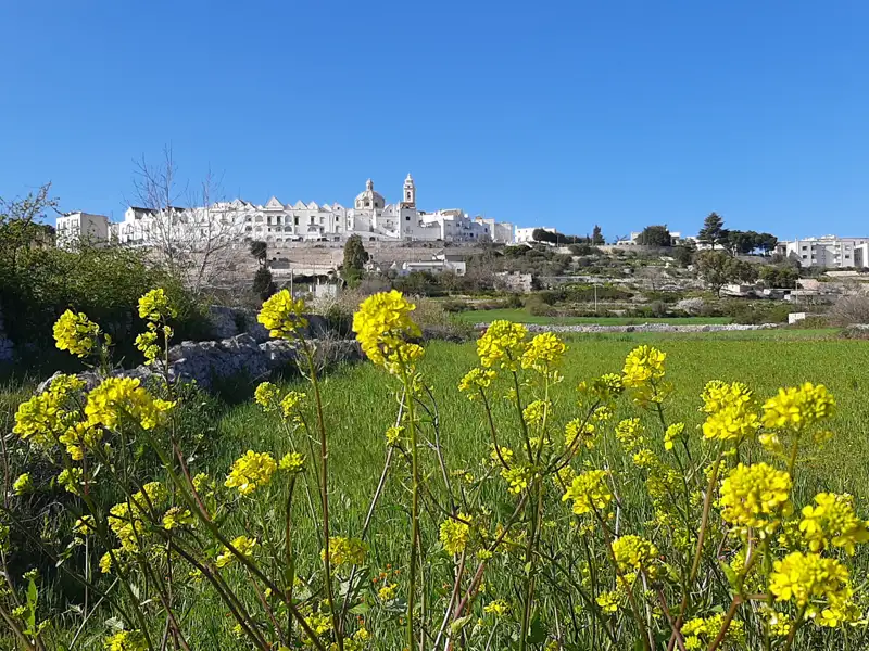 Blick auf die weiße Stadt von einem Feld mit gelben Wildblumen aus.