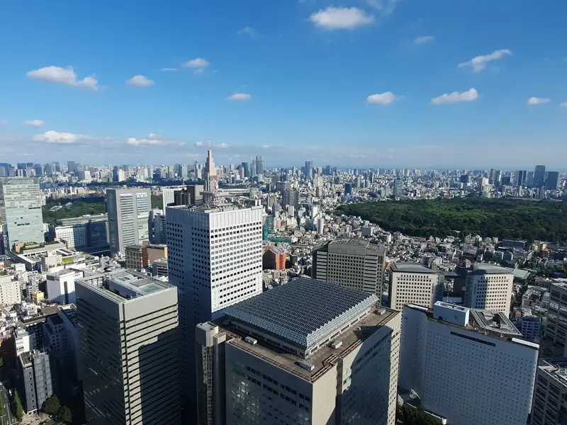 Panoramablick auf die Stadt Tokio.