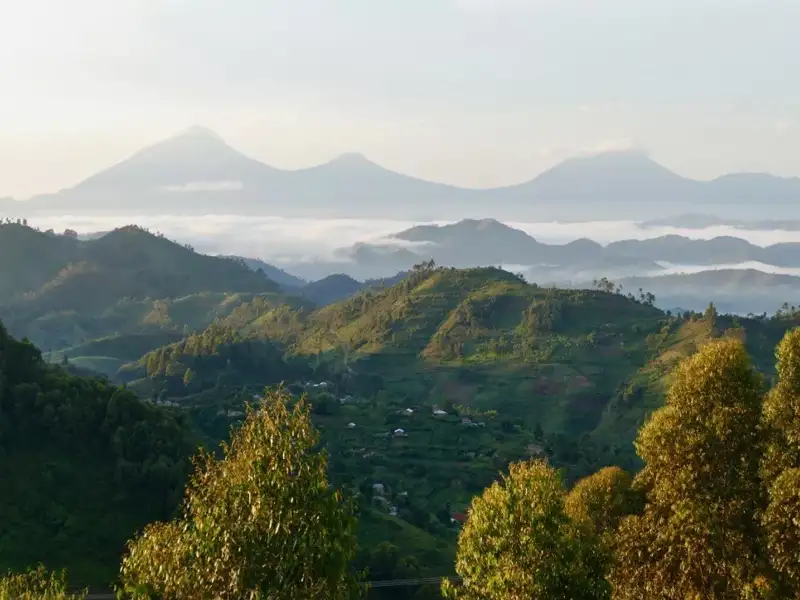 Panoramablick auf eine grüne Hügellandschaft mit Bergen im Hintergrund, die von Nebel durchzogen sind.