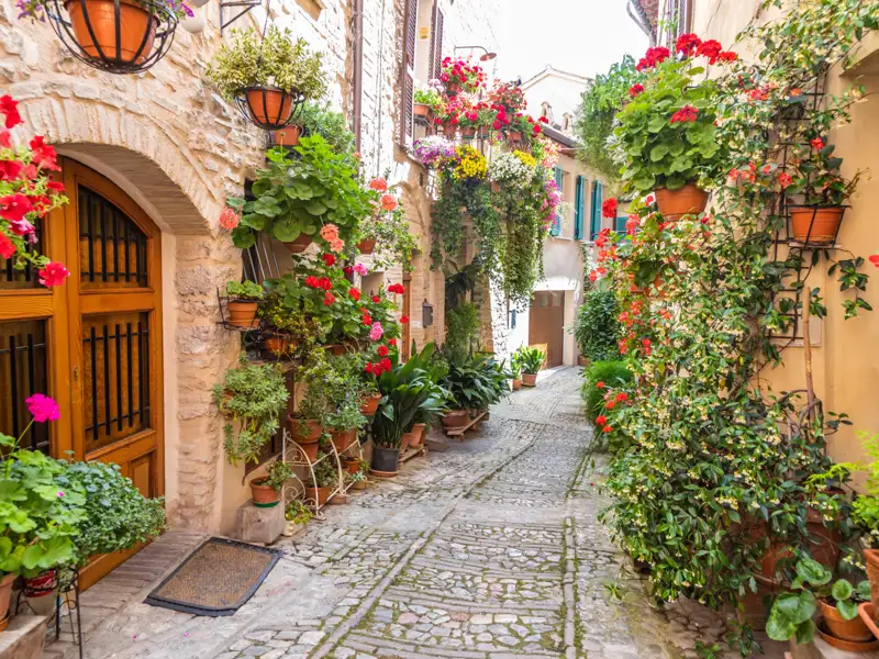 Eine enge Gasse, geschmückt mit üppigen Blumen und Pflanzen, die an den Häuserwänden hängen und den Weg säumen.