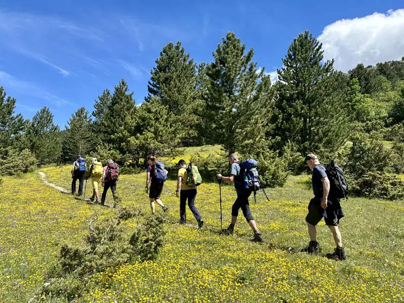 Wandergruppe auf einem Wanderweg durch eine blühende Wiese.