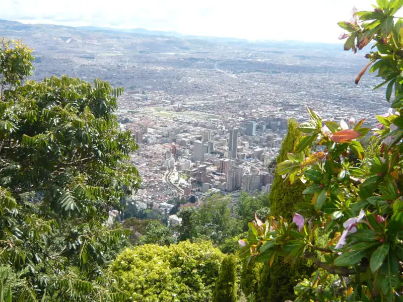 Blick über die Stadt mit üppiger Vegetation im Vordergrund.