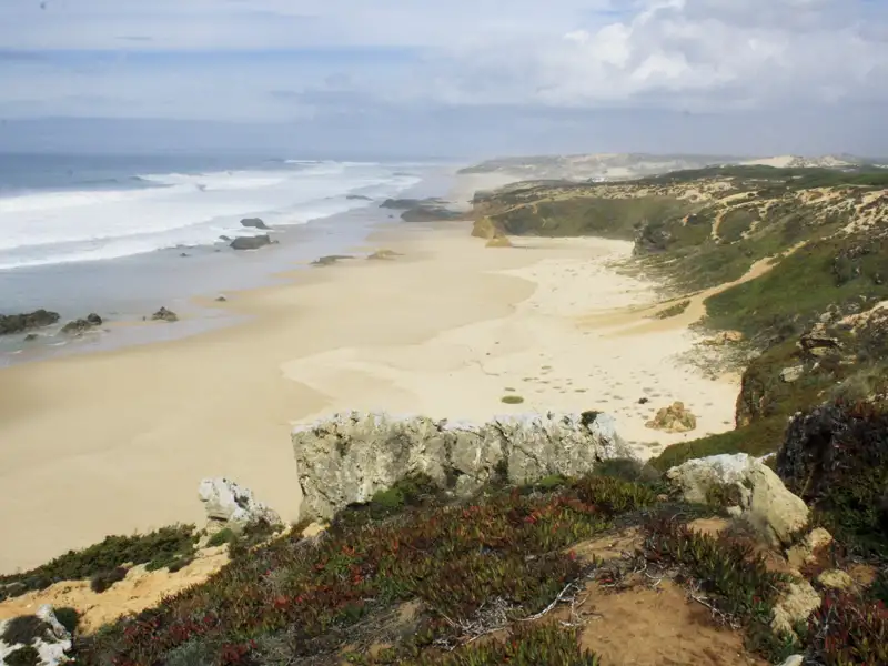 Sandstrand und Küste mit Vegetation