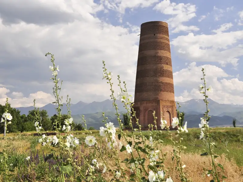 Alter Turm inmitten einer blühenden Landschaft mit Bergen im Hintergrund.