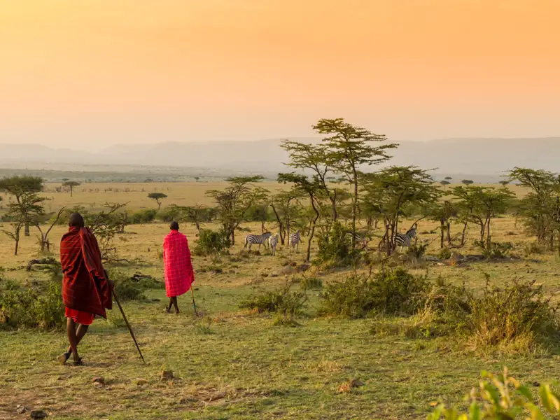 Zwei Massai durchqueren die afrikanische Savanne, während Zebras im Hintergrund weiden. Die Szene spielt bei Sonnenuntergang und zeigt die Schönheit und Ruhe der Natur.