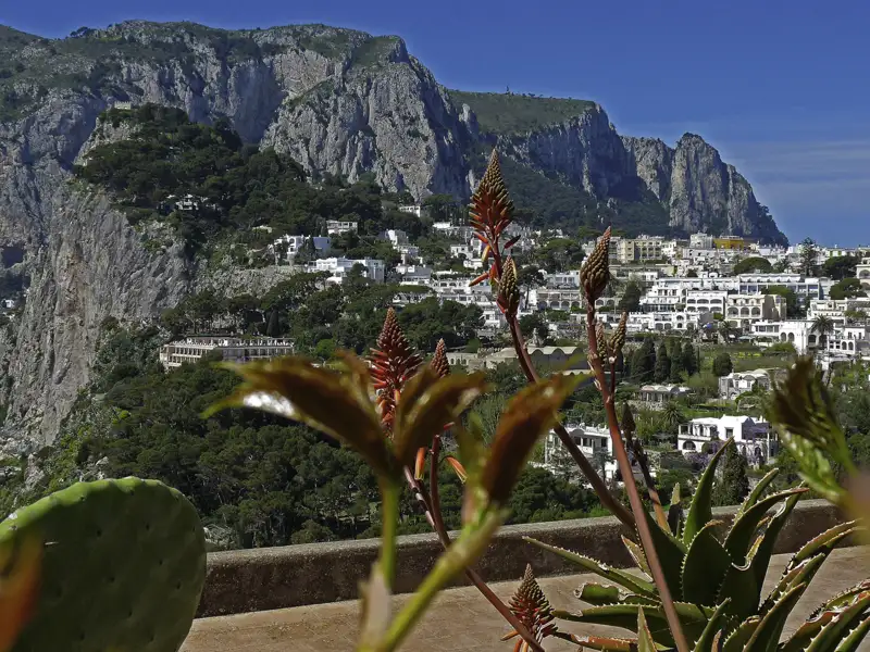 Blick auf die Gebäude der Stadt an der Steilküste, umgeben von üppiger Vegetation und Felsformationen.