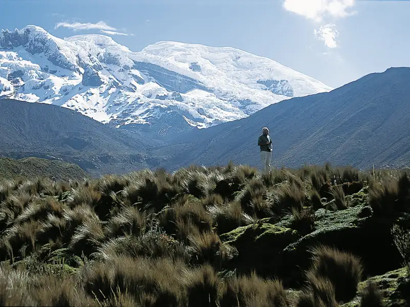 Reisender in hochgelegenem Grasland mit schneebedeckten Bergen im Hintergrund.