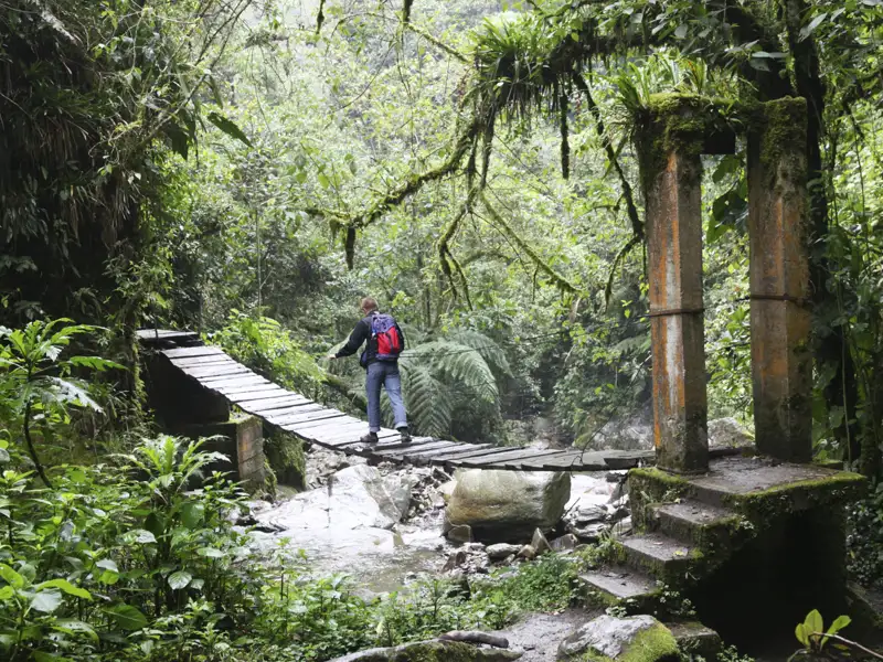 Wanderer auf einer Holzbrücke im Dschungel.