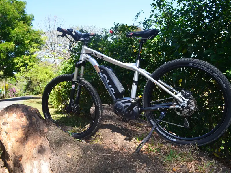 Silbernes E-Bike, Modell SX 5, abgestellt an einem Baumstamm.