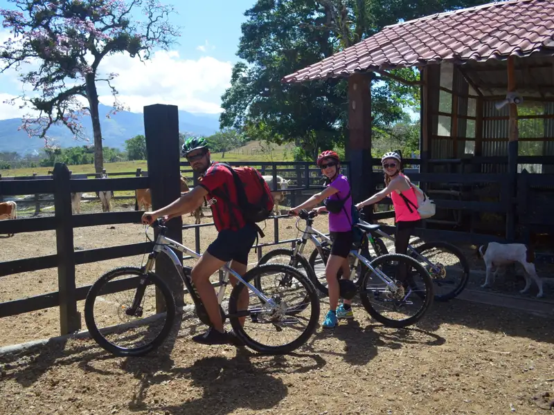 Drei Radfahrer mit Helmen und Rucksäcken machen eine Pause während ihrer Radtour an einem Gehege auf einer Farm.