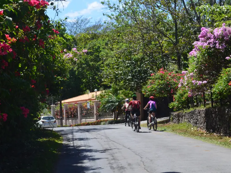 Radfahrer genießen eine Fahrt entlang einer blühenden Straße.