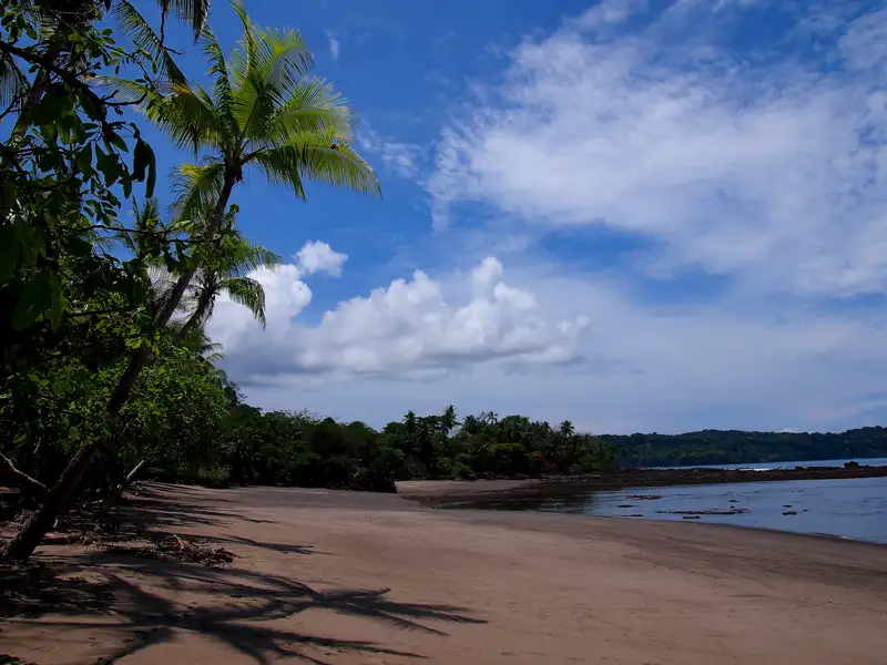 Palmengesäumter Strand mit Blick auf das Meer.
