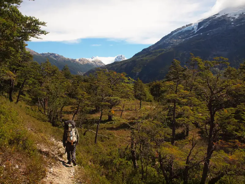 Wanderer auf einem Bergpfad in einem bewaldeten Tal mit schneebedeckten Bergen im Hintergrund.