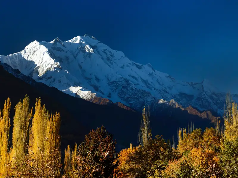 Schneebedeckter Berg mit herbstlicher Vegetation im Vordergrund.