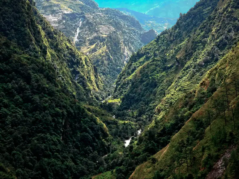 Tiefes Tal mit dichtem Wald und einem Fluss.