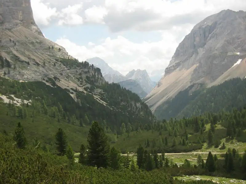 Bergtal mit Nadelbäumen und schroffen Gipfeln