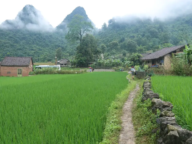 Grüne Reisterrassen und traditionelle Häuser in einem Bergdorf, umgeben von bewaldeten Hügeln.