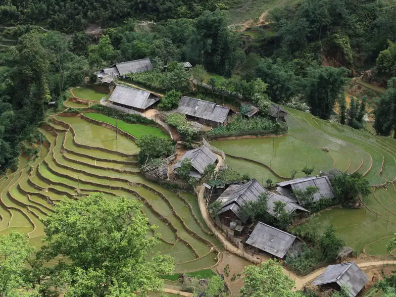 Reisterrassen und traditionelle Häuser in einer ländlichen Gegend.