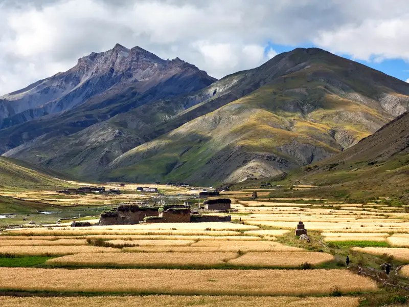 Panoramablick auf goldene Felder und ein Bergdorf im Himalaya, umgeben von hohen Bergen.