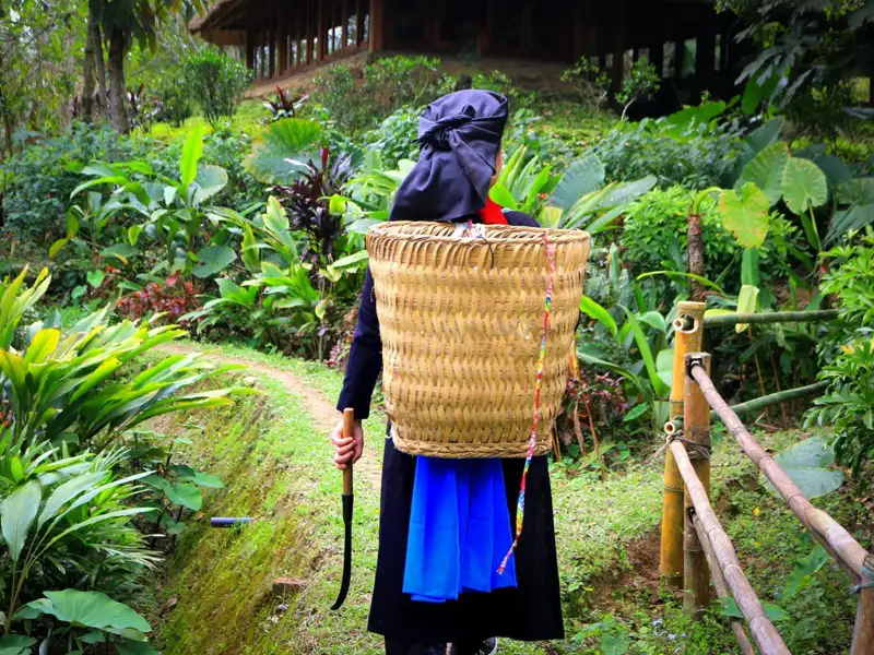 Person mit traditionellem Korb und Sichel auf einem Weg durch die Vegetation.