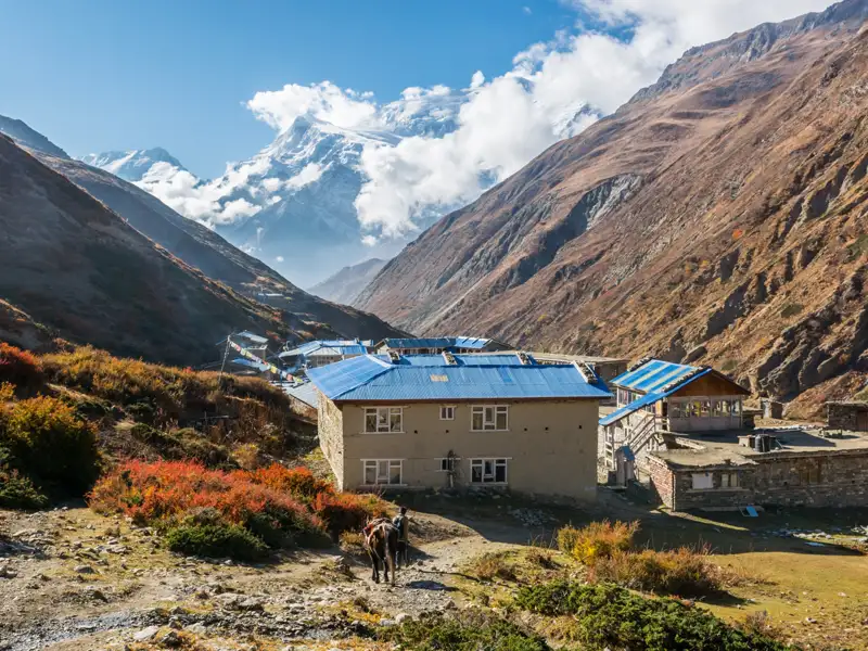 Traditionelles Bergdorf im Himalaya mit Blick auf die schneebedeckten Gipfel.